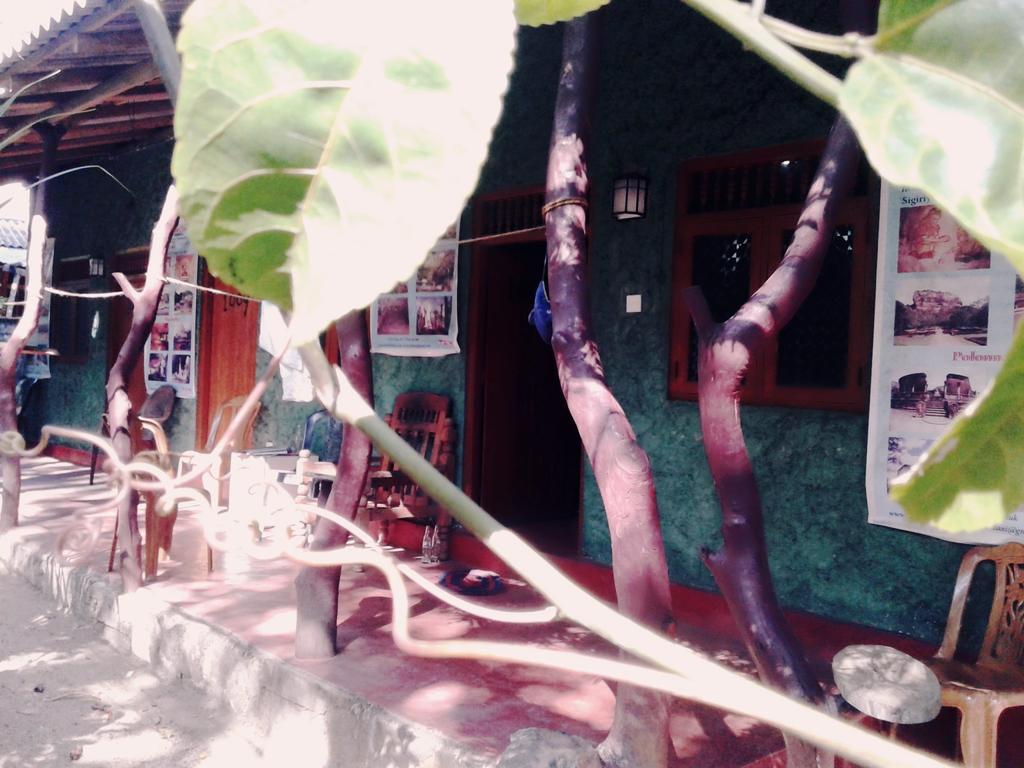 Bluesky Guest House Dambulla Bagian luar foto