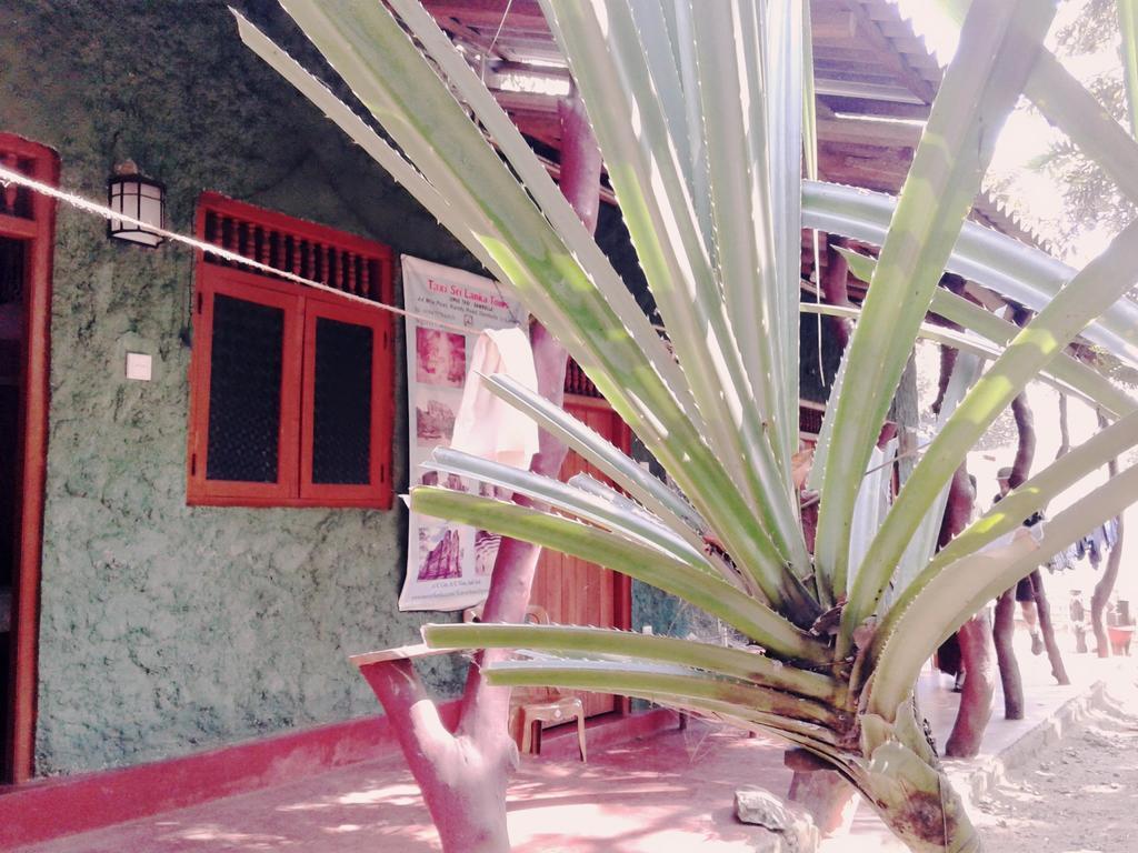 Bluesky Guest House Dambulla Bagian luar foto