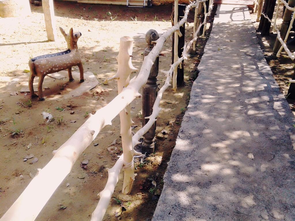 Bluesky Guest House Dambulla Bagian luar foto