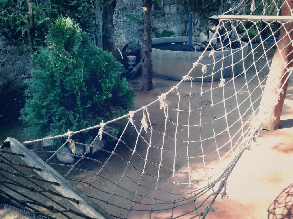 Bluesky Guest House Dambulla Bagian luar foto