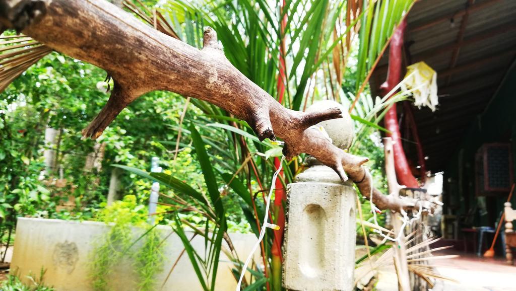 Bluesky Guest House Dambulla Bagian luar foto